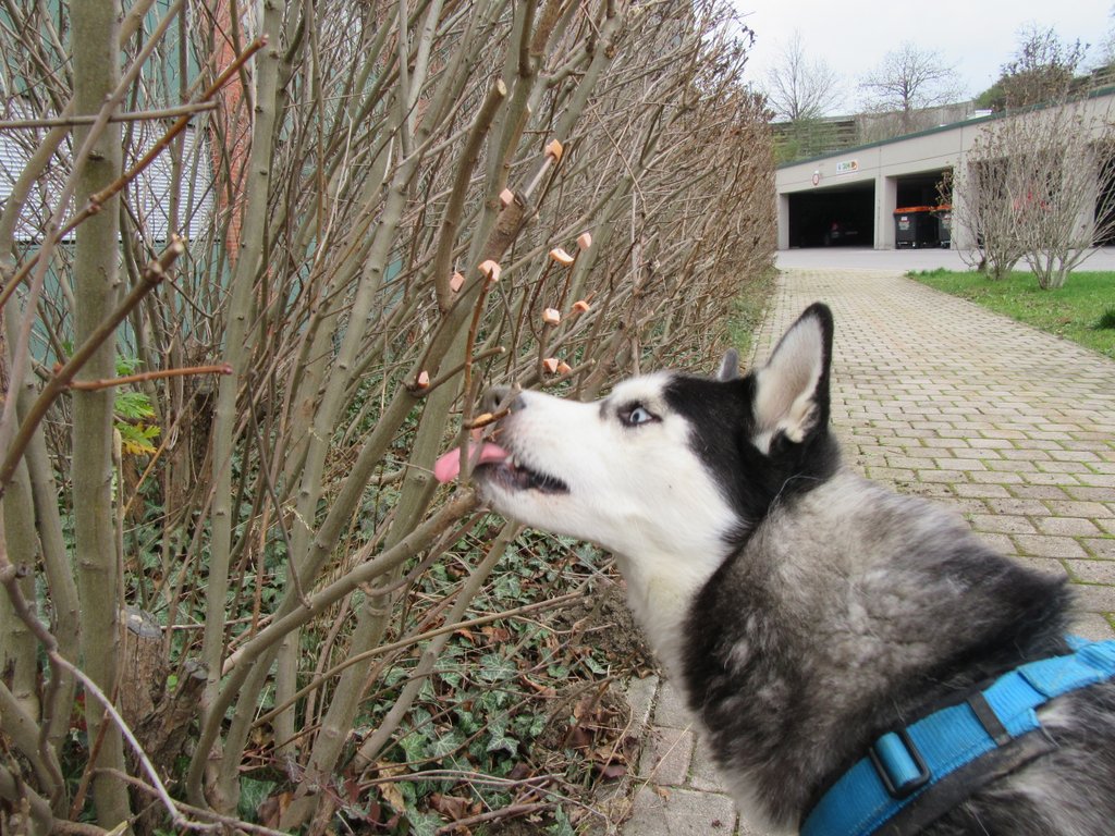 Egal, mmmh ist das gut