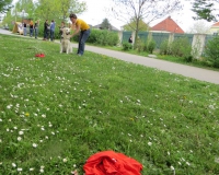 IMG_6247.JPG