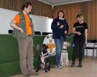 WTV 2014_03_22 (1)