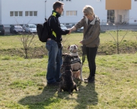 WTV 2014_03_22 (2)