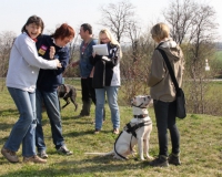 WTV 2014_03_22 (3)