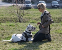 WTV 2014_03_22 (4)