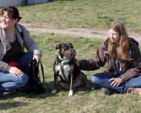 WTV 2014_03_22 (8)