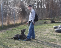 WTV 2014_03_24 (4)