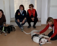 WTV 2014_04_05 (1)