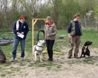 WTV 2014_04_05 (3)