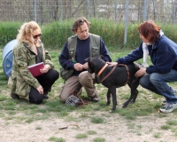WTV 2014_04_05 (5)