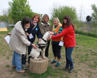 WTV 2014_04_17 (1)