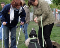 WTV 2014_04_17 (5)