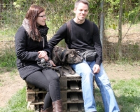 WTV 2014_04_17 (8)