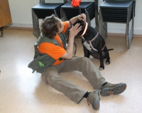 WTV 2014_06_01 (8)