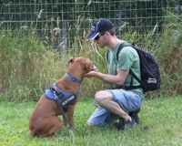 WTV 2014_06_23 (2)