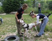 WTV 2014_06_23 (4)