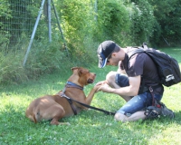 WTV 2014_07_13 (2)
