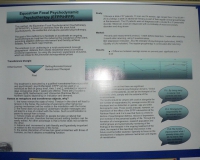 Symposium 2008 (37)