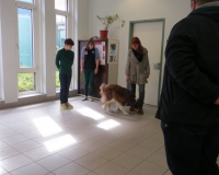 Vetmedführung 2015_04_14 (13).JPG