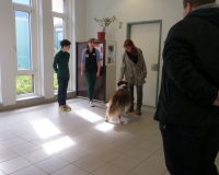Vetmedführung 2015_04_14 (14).JPG