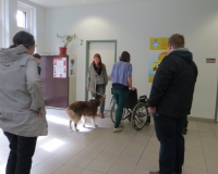 Vetmedführung 2015_04_14 (15).JPG