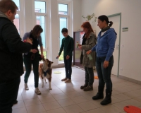 Vetmedführung 2015_04_14 (17).JPG