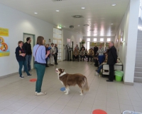 Vetmedführung 2015_04_14 (19).JPG