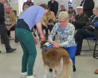 Vetmedführung 2015_04_14 (20).JPG
