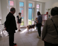 Vetmedführung 2015_04_14 (21).JPG