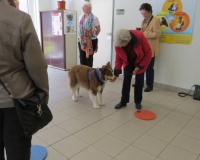 Vetmedführung 2015_04_14 (22).JPG