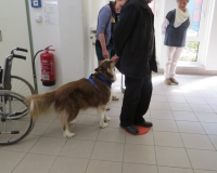 Vetmedführung 2015_04_14 (23).JPG