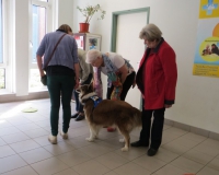 Vetmedführung 2015_04_14 (25).JPG