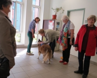 Vetmedführung 2015_04_14 (26).JPG