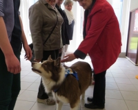 Vetmedführung 2015_04_14 (27).JPG