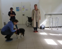 Vetmedführung 2015_04_14 (7).JPG