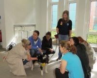 Vetmedführung 2015_04_14 (9).JPG