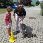Hundeprofi 2015-07.09 (4)
