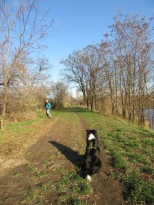 Der Mensch versteckt sich, der Hund wartet und schaut bei den ersten Versuchen noch zu.