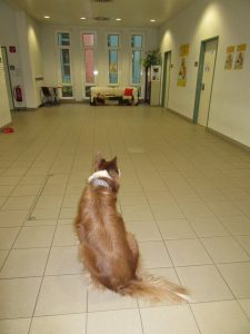 Jetzt gehts los, Felix wird losgeschickt.
