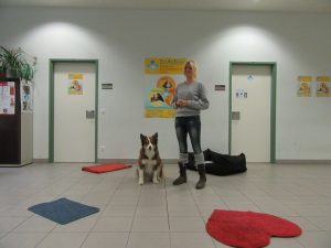 Was wir brauchen: Verschiedene Decken, Teppiche und Hundebetten