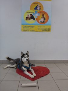 Kaya ist schon ganz ungeduldig!
