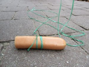 Die Wurst wird an eine Schnur gebunden.