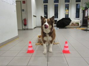 Im Ziel! Das war ein Riesenspaß!