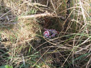 Das Spielzeug ist gut versteckt im Gras.