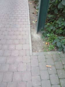 Die fertige Wurstspur endet ums Eck. Auf der gezogenen Spur liegen kleingeschnittene Wurststücke.