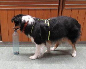 Aber wie komm ich da ran?