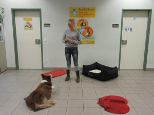 Geschafft!