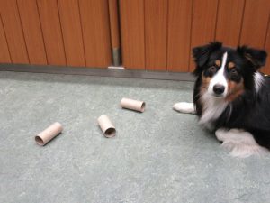 Jetzt werden alle drei Rollen auf dem Boden verteilt. Tara muss noch warten.