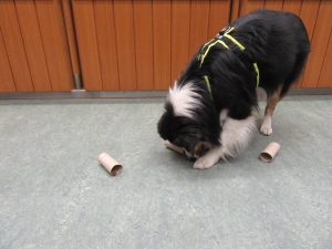 "Oh, hier hat sich das Leckerli versteckt."