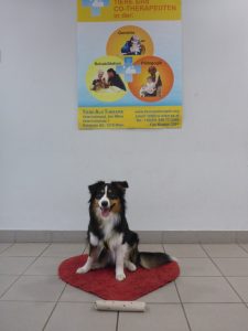 Tara kann es schon gar nicht mehr erwarten ihr Packerl zu öffnen.