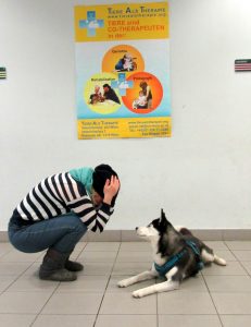 In die Hocke gehen und den Hund nicht anschauen.