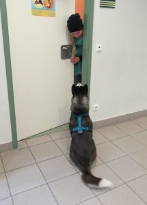 Kaya hat es richtig gemacht und bekommt ihre Belohnung