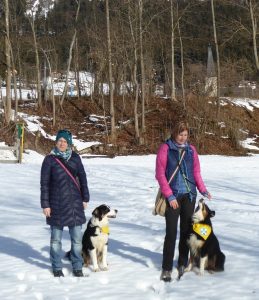 Altaussee 2.2016 3 002 - Kopie